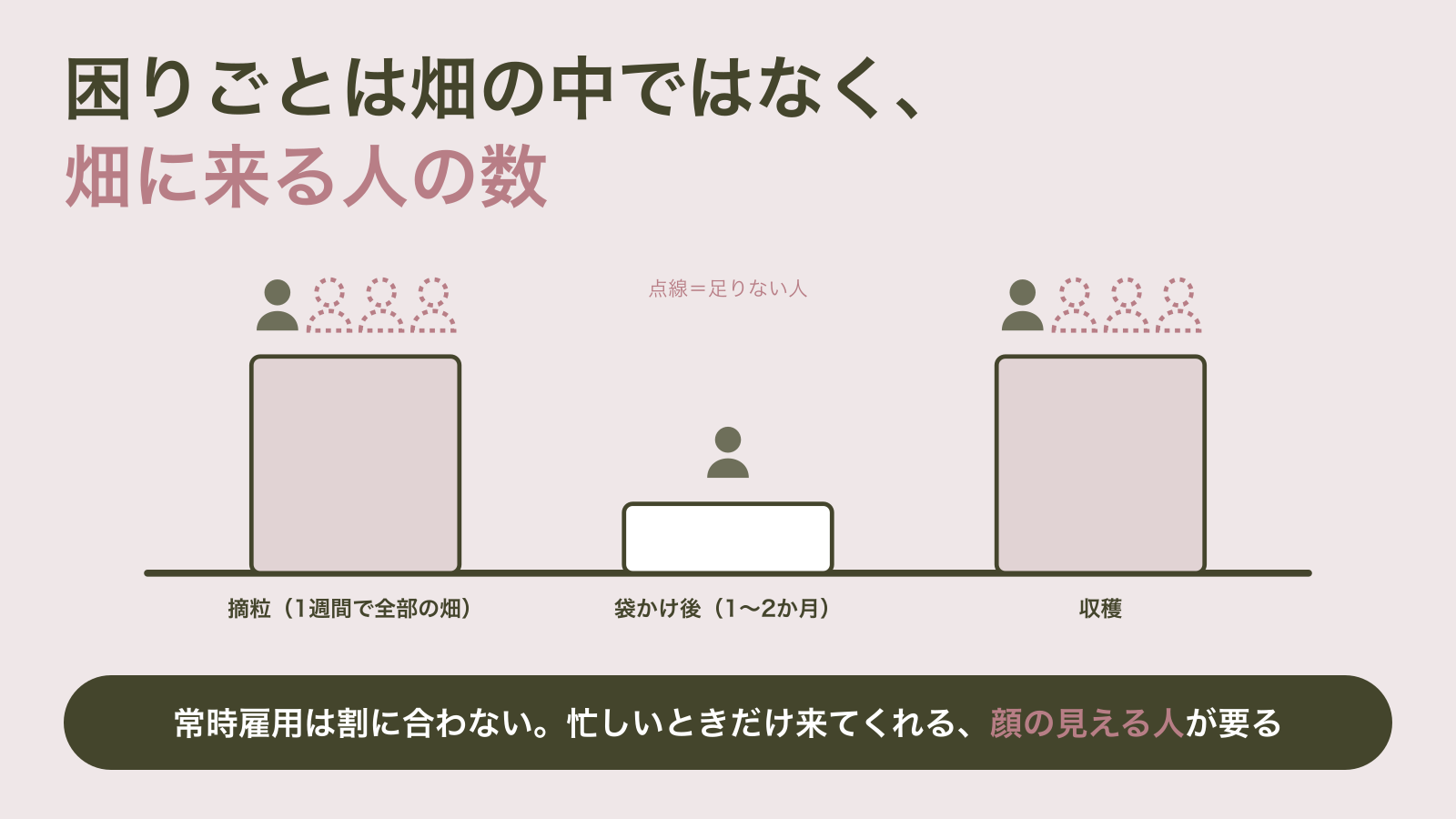 摘粒・袋かけ後・収穫の作業量を三本の棒で示し、高い棒の上には必要な人数四人のうち一人だけが塗りつぶされ残り三人が点線、低い棒の上には一人だけが立っている図｜農作業は繁閑の差が激しく、忙しいときだけ来てくれる人が足りない