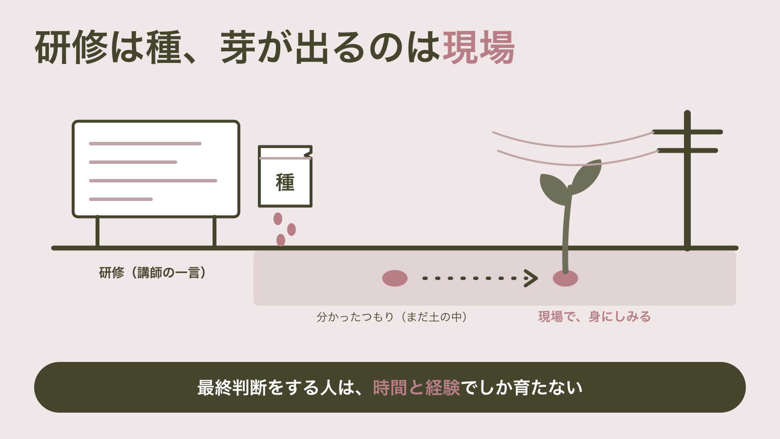 研修のホワイトボードの横で「種」と書かれた袋から種がこぼれて地面に落ち、土の中で眠る種が点線の時間を経て、電柱の立つ現場で芽を出す図｜研修で受け取った知識は、現場で似た状況にぶつかって初めて身にしみる