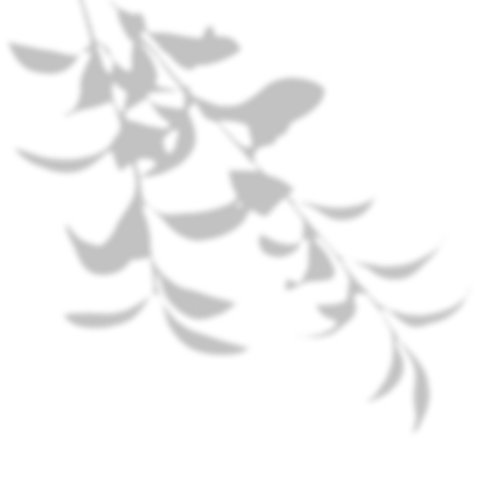 背景